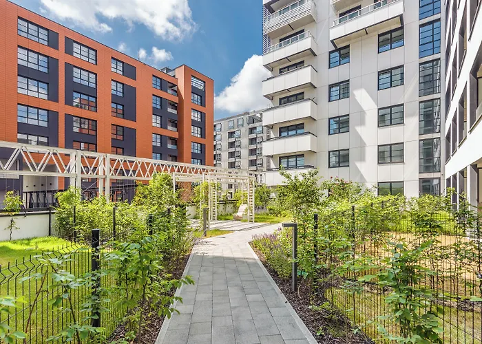 Daire Doki, Sun & Snow